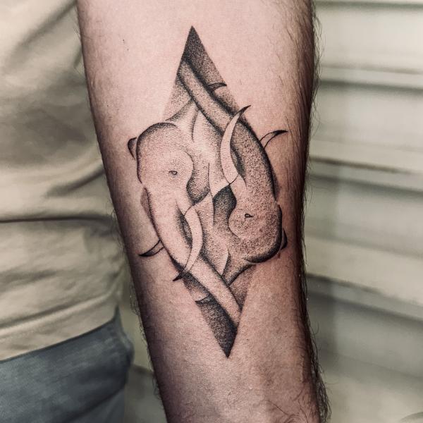 Blackwork Elephant tattoo