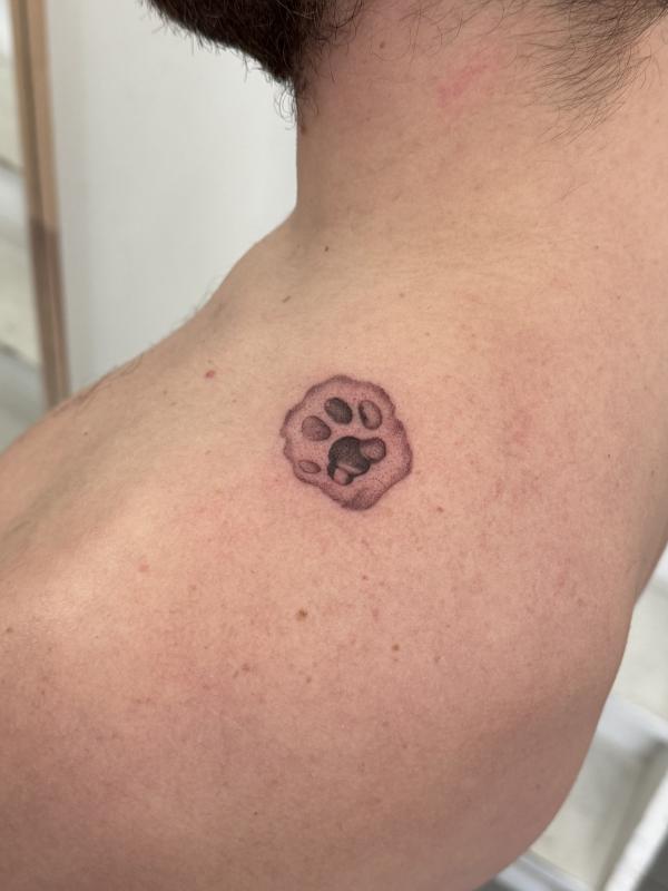 Fineline Tattoo Cat Paw