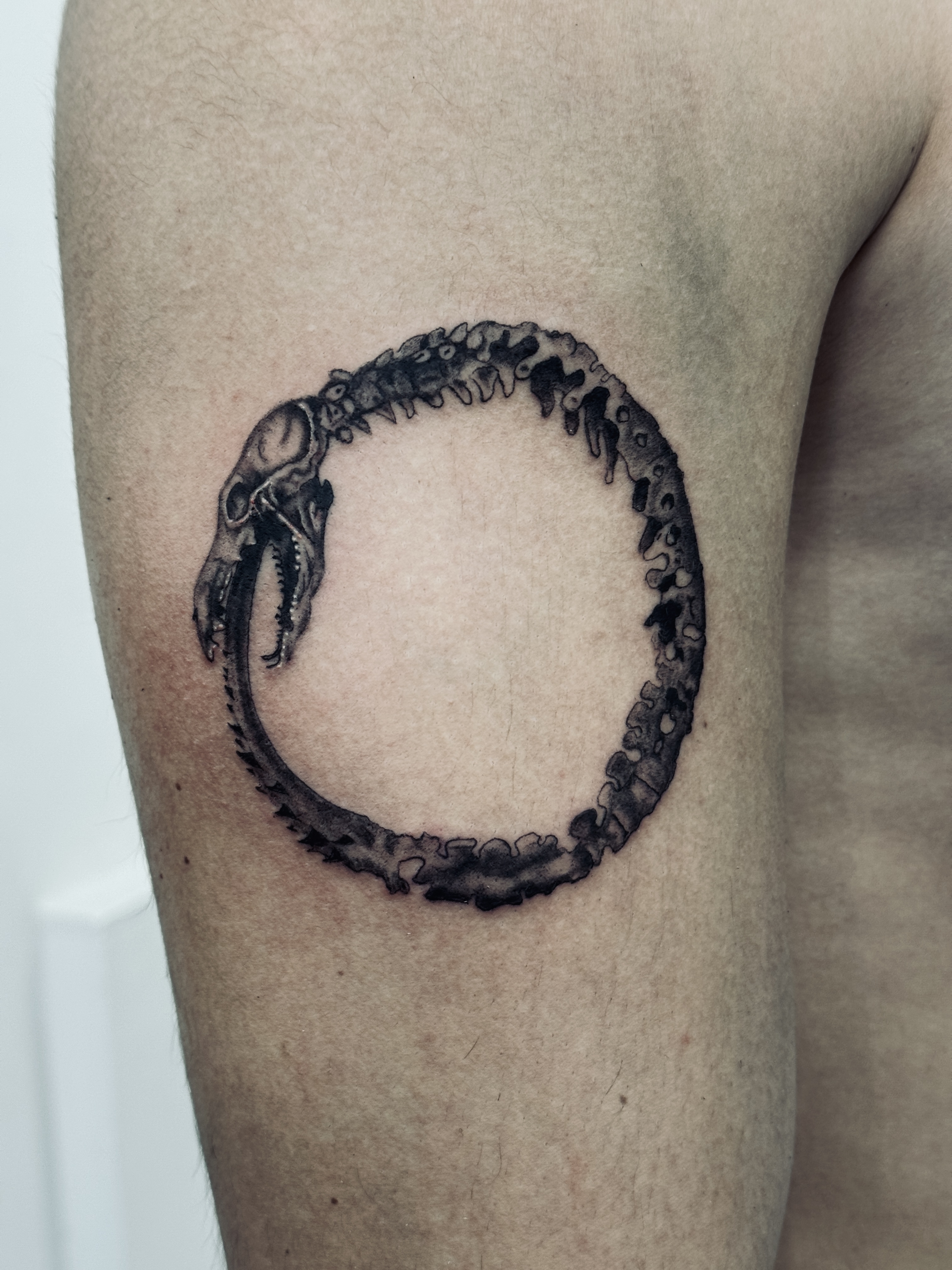 Blackwork Ouroboros Tattoo