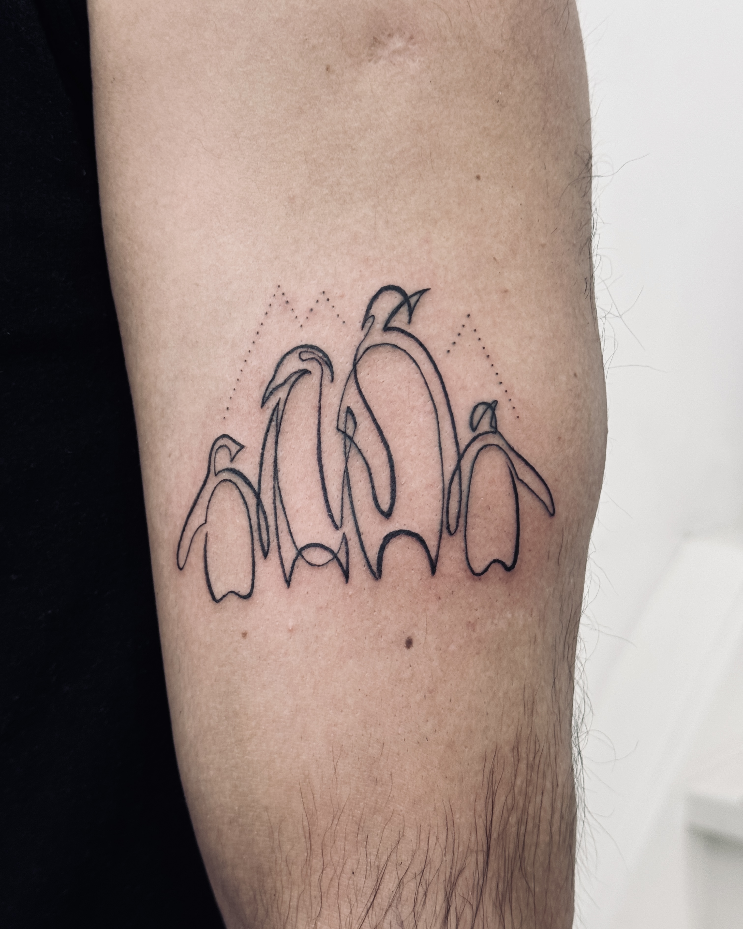 Fineline Single Line Tattoo Penguins